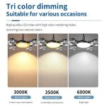 LumaVane Ceiling Fan Light - Image 10
